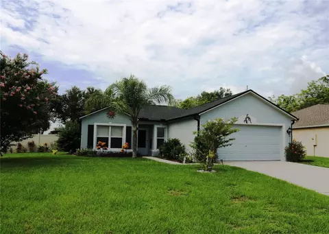 10002 Water Fern Cir, Clermont, FL 34711