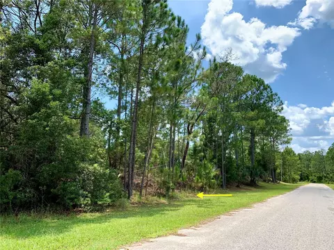 Lot 3 Tulip Avenue, Eustis, FL 32736