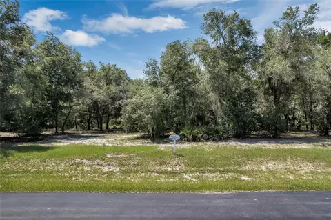 3138 Bright Lake Cir, Leesburg, FL 34748
