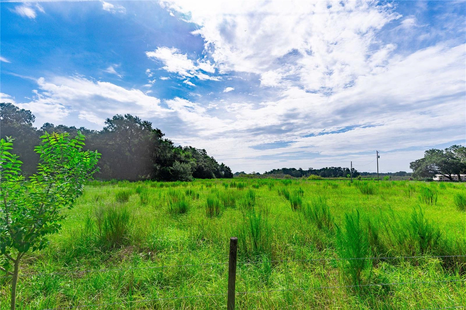 Se 12th Drive, Webster, FL 33597 photo 1