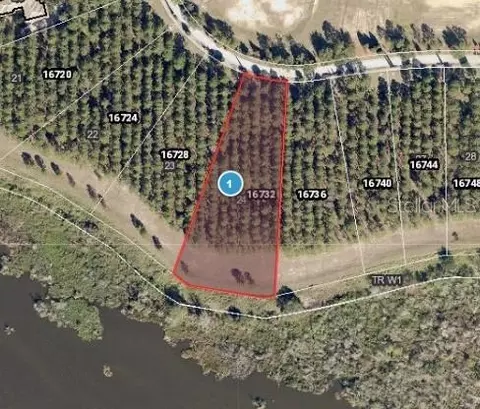 16732 Artimino Loop, Montverde, FL 34756