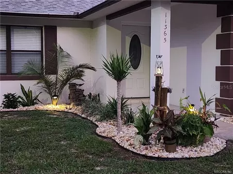 11365 N Brenda Ter, Citrus Springs, FL 34434