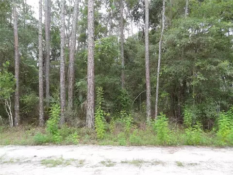Ne 234th Place, Fort Mc Coy, FL 32134