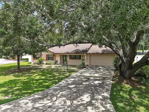 13701 Devenshire Ct, Grand Island, FL 32735