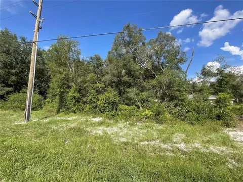 Treiman Boulevard, Webster, FL 33597