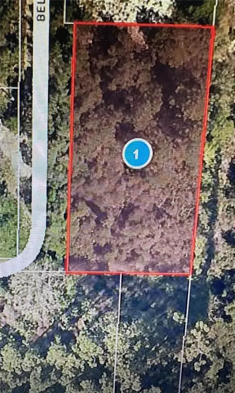 Belmont Avenue, Leesburg, FL 34788