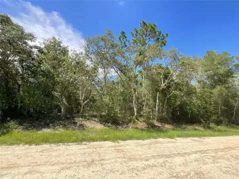 34188 Mineral Stone Dr, Webster, FL 33597
