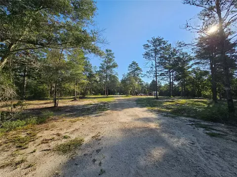 280 Buck Ct N, Perry, FL 32348