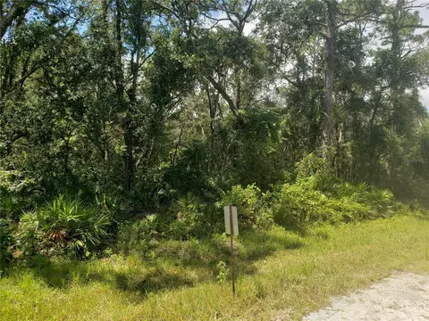36064 Butternut Dr, Webster, FL 33597