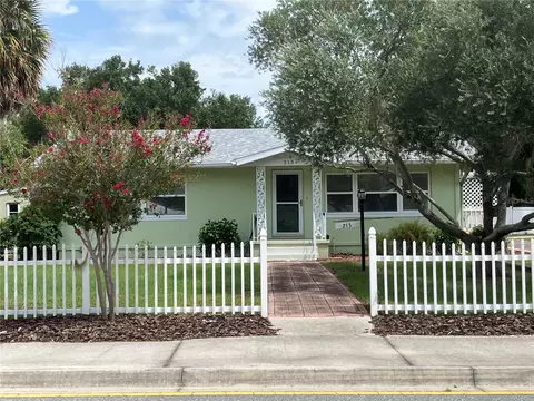 213 E Alfred St, Tavares, FL 32778