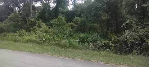 11895 Cr 682, Webster, FL 33597