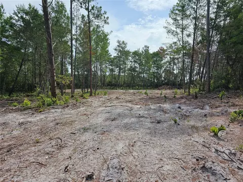 41206 Aspen St, Eustis, FL 32736