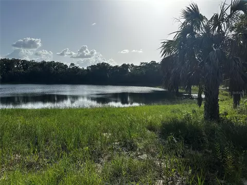 000 Malauka Lot 20 Loop, Ocklawaha, FL 32179
