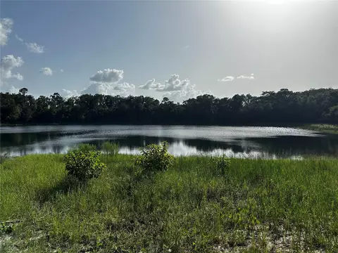 00 Malauka Lot 19 Loop, Ocklawaha, FL 32179