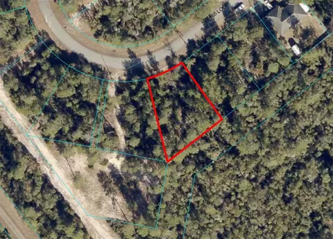 SW 165th Loop, Ocala, FL 34473