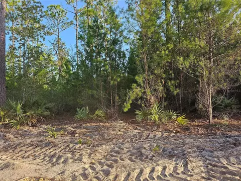 Butterbean Lane, Eustis, FL 32736
