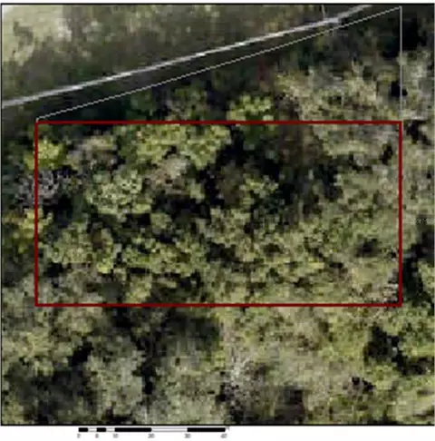 SE 5th Street, Webster, FL 33597