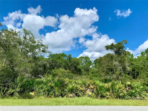 Lot 1 Tamarac Street, Eustis, FL 32736