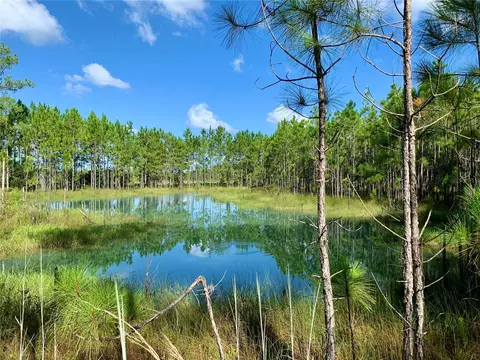 Lot 8, Eustis, FL 32736