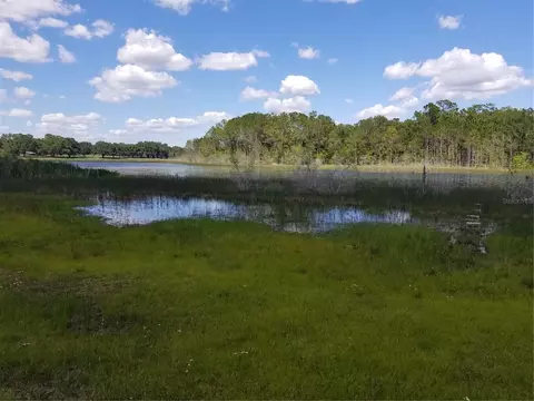 38748 Berchfield Rd S, Lady Lake, FL 32159