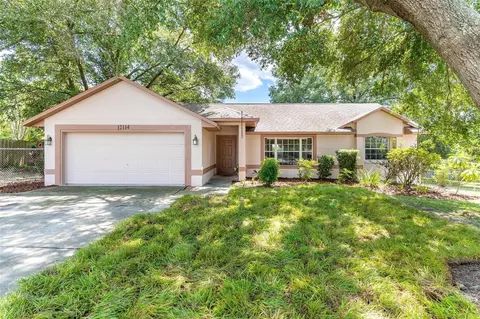 12114 Nest Ct, Grand Island, FL 32735