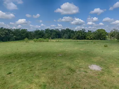 Cr 619, Bushnell, FL 33513