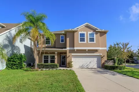 311 Peacock Springs Ct, Groveland, FL 34736