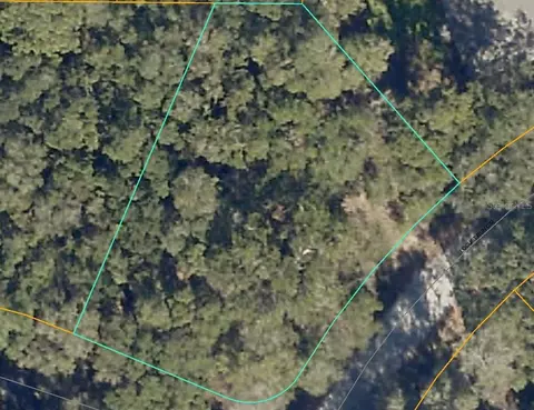 Locust Run Trace, Ocala, FL 34472