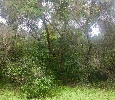 Tbd SW 137 Loop, Ocala, FL 34473