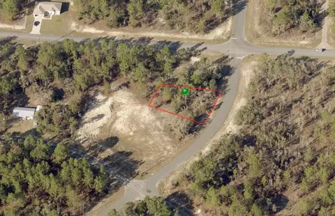 10458 N G Martinelli Blvd, Citrus Springs, FL 34433