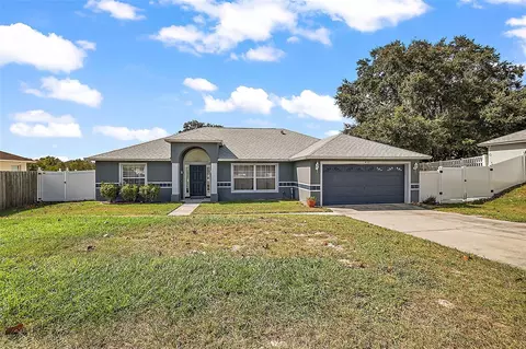 433 Ed Douglas Rd, Groveland, FL 34736