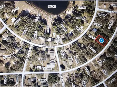 Palm Street, Lady Lake, FL 32159