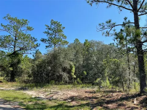 9841 N Swanee Ter, Citrus Springs, FL 34433