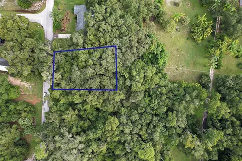 Orange Avenue, Yalaha, FL 34797