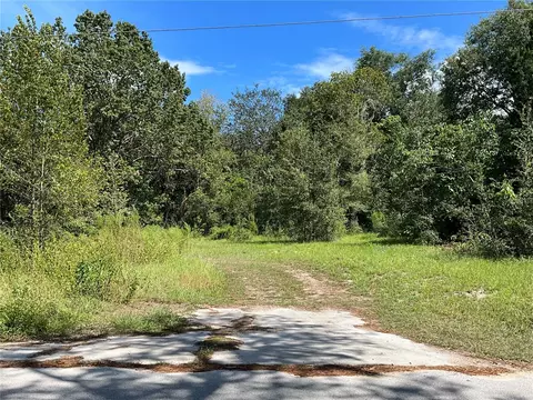 40150 Orange Cir, Lady Lake, FL 32159