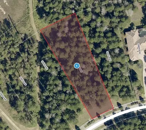 16036 Pendio Dr, Montverde, FL 34756