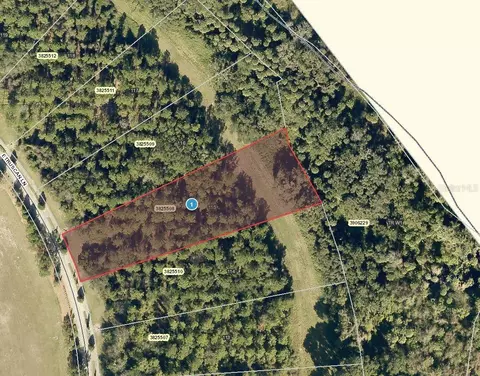 17209 Etruscan Ln, Montverde, FL 34756