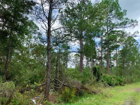 45246 Maryland St, Paisley, FL 32767