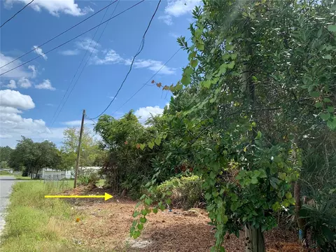 Lot 3 Poinsettia Avenue, Paisley, FL 32767