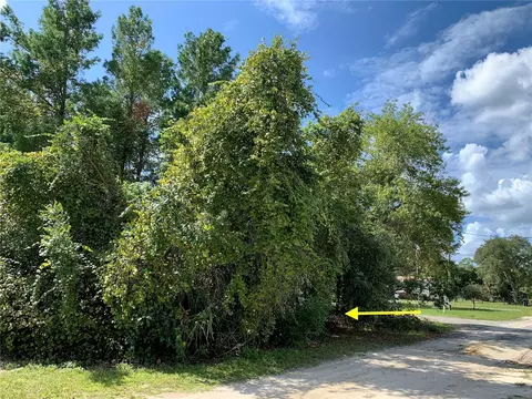Lot 2 Holly Avenue, Paisley, FL 32767