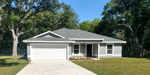 15 Guava Pass Trl, Ocklawaha, FL 32179