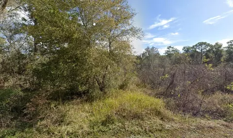 7450 Castleberry Dr, Webster, FL 33597
