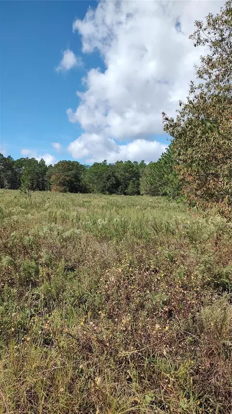 Lot 2 SW 151st Court, Ocala, FL 34481