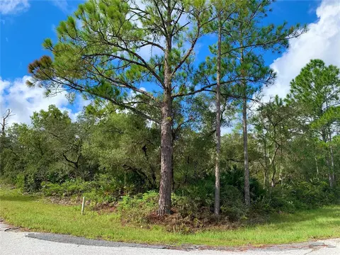 Lot 13 Vitex Court, Eustis, FL 32726