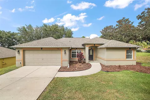 425 Shady Pine Ct, Minneola, FL 34715