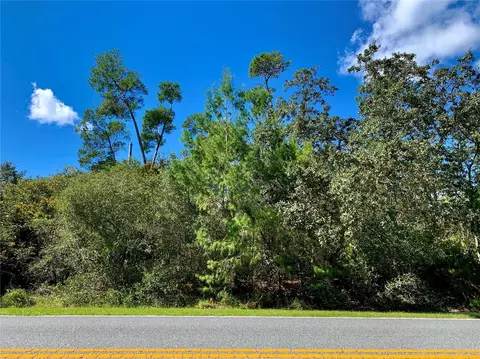 Lot 12, Eustis, FL 32736