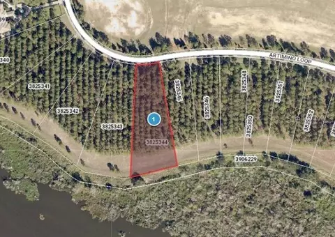 16736 Artimino Loop, Montverde, FL 34756