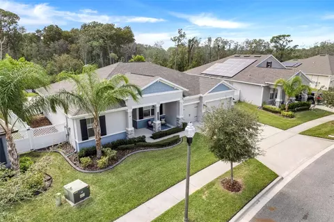 10210 Love Story St, Winter Garden, FL 34787