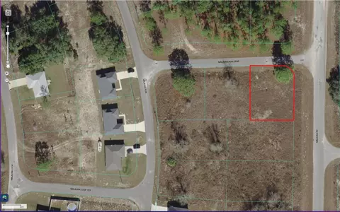 Tbd Malauka Road, Ocklawaha, FL 32179