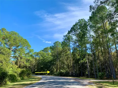 Lot 9 Apricot Avenue, Eustis, FL 32736